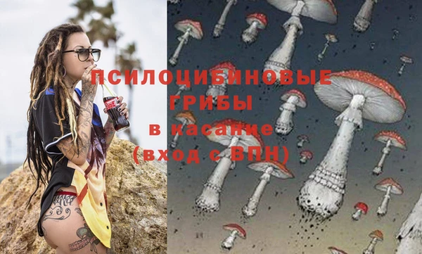 гидропоника Балабаново