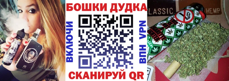 где купить наркоту  Себеж  Конопля гибрид 